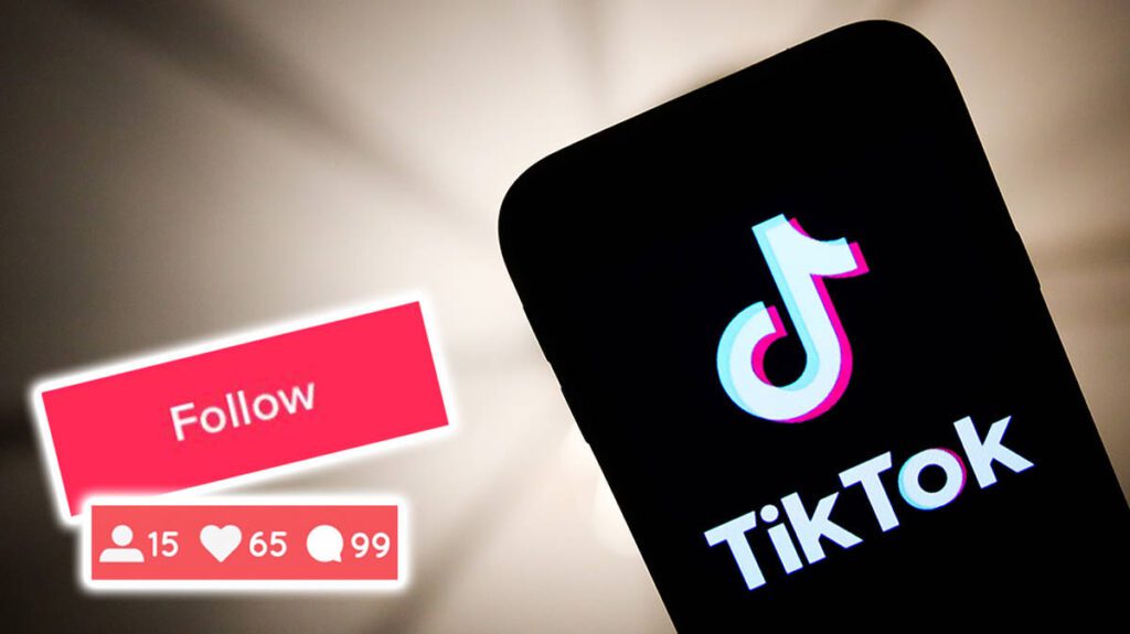 TikTok following