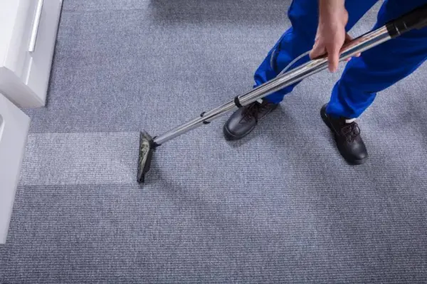 indianapolis carpet cleaning